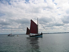 IMG_0528.jpg