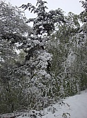 DSC03536.jpg DSC03536.jpg