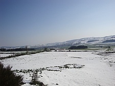 DSC03555.jpg DSC03555.jpg