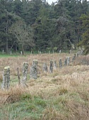 DSC03584.jpg DSC03584.jpg