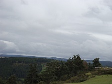 DSC03599.jpg DSC03599.jpg