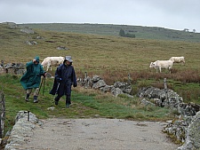 DSC03623.jpg DSC03623.jpg