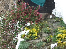 DSCF1522.jpg DSCF1522.jpg