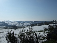 DSCF1553.jpg DSCF1553.jpg