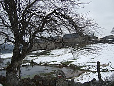 DSCF1567.jpg DSCF1567.jpg