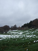 DSCF1569.jpg DSCF1569.jpg