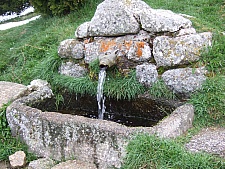 DSCF1571.jpg DSCF1571.jpg