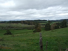 DSCF1587.jpg DSCF1587.jpg