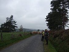 DSCF1600.jpg DSCF1600.jpg