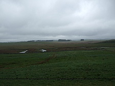 DSCF1605.jpg DSCF1605.jpg