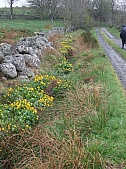 DSCF1608.jpg DSCF1608.jpg