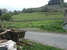 DSCF1627.jpg DSCF1627.jpg