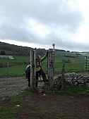 DSCF1639.jpg DSCF1639.jpg