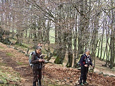 DSCF1641.jpg DSCF1641.jpg