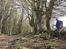 DSCF1642.jpg DSCF1642.jpg