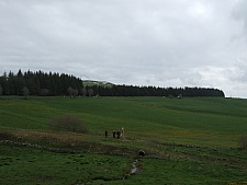 DSCF1649.jpg DSCF1649.jpg