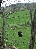 DSCF1665.jpg DSCF1665.jpg