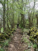 DSCF1668.jpg DSCF1668.jpg