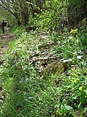 DSCF1669.jpg DSCF1669.jpg