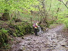 DSCF1690.jpg DSCF1690.jpg