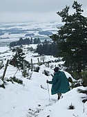 2-DSCF1526.jpg