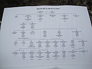IMG_4195.jpg IMG_4195.jpg