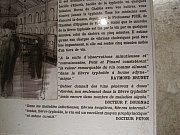 IMG_4219.jpg IMG_4219.jpg