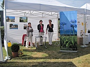 IMG_4363.jpg