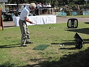 IMG_4365.jpg