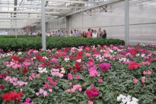 IMG_1704.jpg